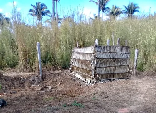 160 mil piauienses não tem um banheiro em casa, segundo o IBGE.