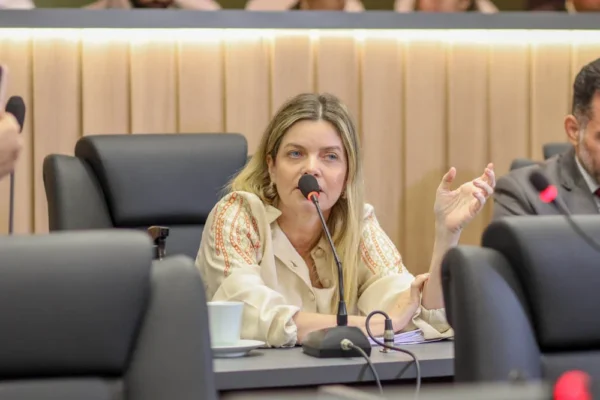 Gracinha Mão Santa diz que governador está passando a responsabilidade dos alagamentos para a prefeitura e atraso em projetos.