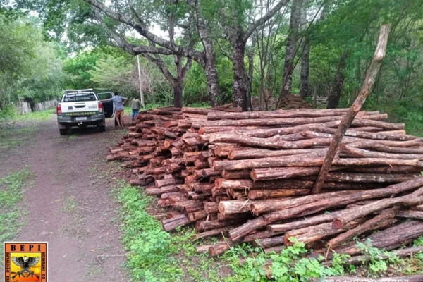 Ponto de extração ilegal de madeira é descoberto em fazenda no Caxingó.