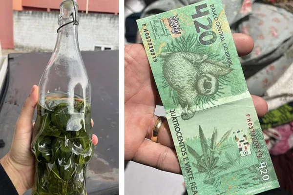 Bandidagem em Parnaíba mistura cachaça com maconha e fabrica cédula de R$420.