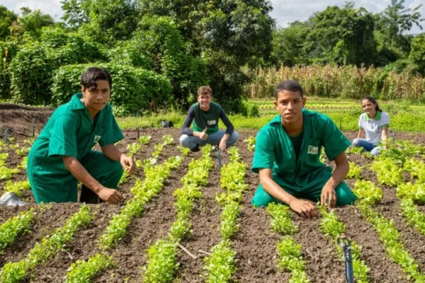 Pedida criação do curso técnico em agropecuária no Instituto Federal do Piauí em Parnaíba.