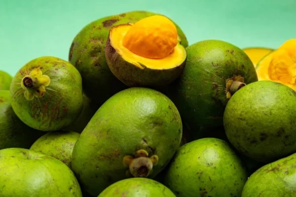 Comissão de Agricultura aprova criação da Política Nacional para Manejo do Pequi.
