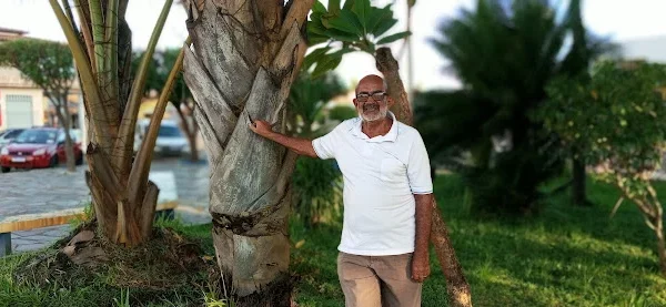 Ecologista Antonio Amorim, de Buriti dos Lopes, mostra três palmeiras plantadas por ele há 14 anos.