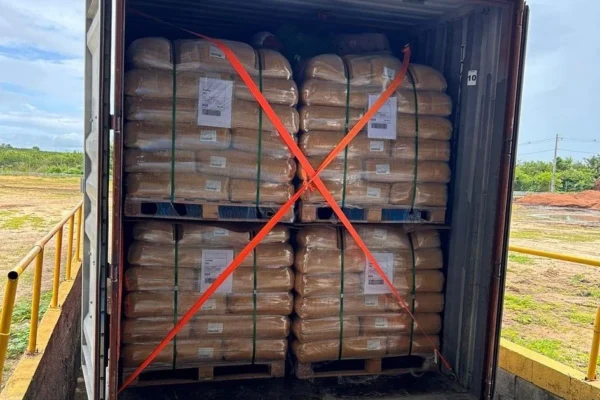 Cera de carnaúba produzida em Parnaíba alcança o mercado japonês.