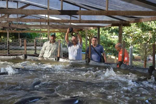 Equatorial Piauí alerta para prazo da Revisão Cadastral de beneficiários da Tarifa Rural.