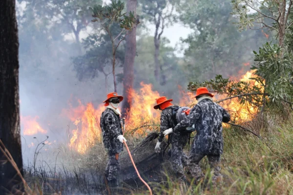 Governo publica portaria que proíbe o uso do fogo em todo o Piauí.