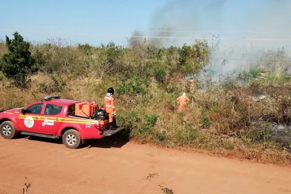Incêndio atinge vegetação dos Tabuleiros Litorâneos no norte do Piauí.
