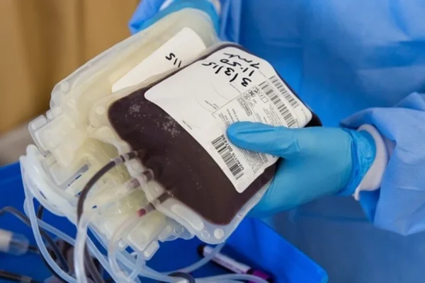 STF reconhece direito das Testemunhas de Jeová recusarem transfusão de sangue.