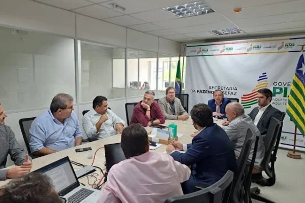 CODIN aprova instalação de cinco empresas com investimentos de R$ 739,4 milhões no Piauí.
