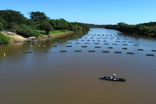 Codevasf abre inscrições para XII Encontro dos Projetos de Pesca e Aquicultura.