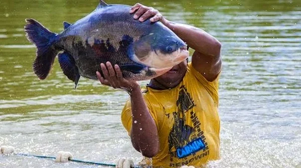 Brasil ampliará produção de pescados em reservatório de hidrelétricas.