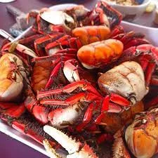 Prefeitura de Ilha Grande do Piauí organiza XVII Festival do Caranguejo de 22 e 23 de novembro.