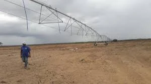 Projeto de concessão para irrigação no norte do Piauí tem consulta pública aberta.