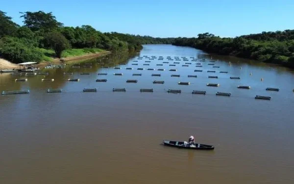 Encontro dos Projetos de Pesca e Aquicultura em Parnaíba é realizado na UFDPAR.