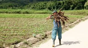 Mais de 6 mil famílias de agricultores saíram da linha da pobreza no Piauí, aponta SAF.