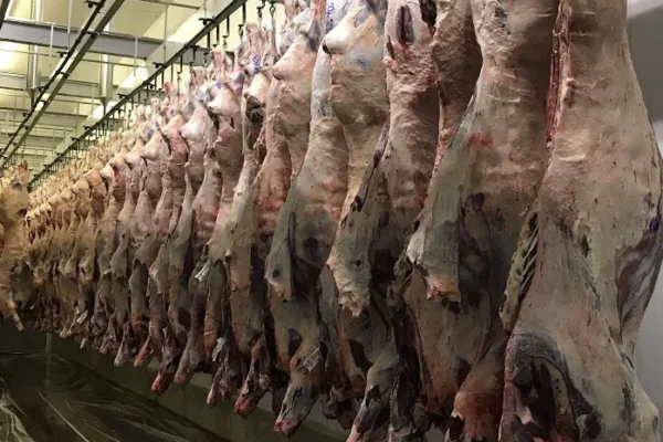 Prefeito de Parnaíba trata com empresários sobre fiscalização sanitária de carnes à venda.