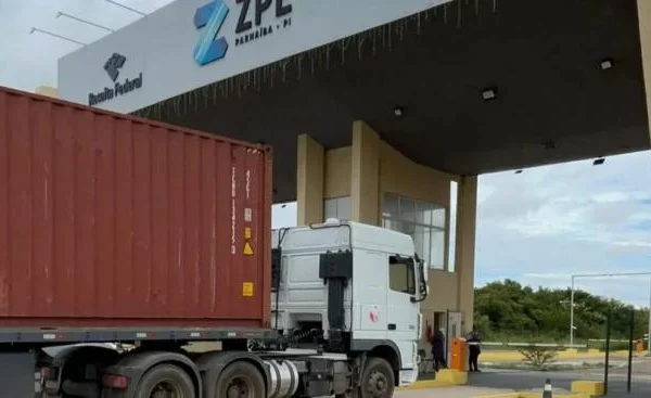 Piauí registra exportação de 108 toneladas de cera de carnaúba em janeiro.