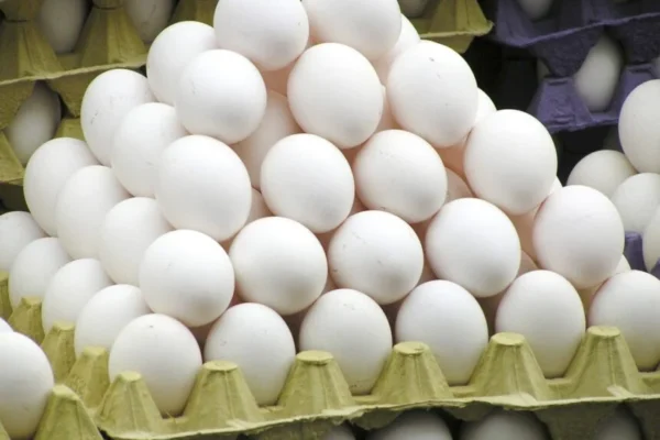 Ovos terão carimbo obrigatório com data de validade a partir de março.