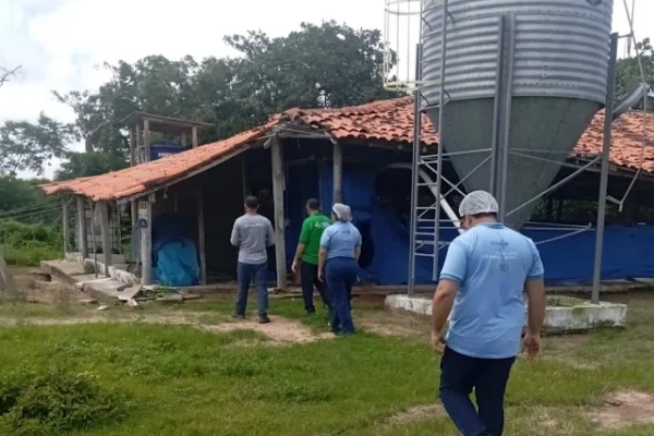 Vigilância Sanitária detecta irregularidades em granjas e empresas de engarrafamento de água em Buriti dos Lopes.