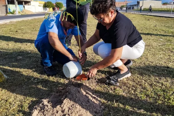Mutirão de Entrega de Mudas de Árvores no Teatro Saraiva.