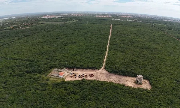 Ministério Público Federal anula licenças de usina de hidrogênio verde no Piauí.