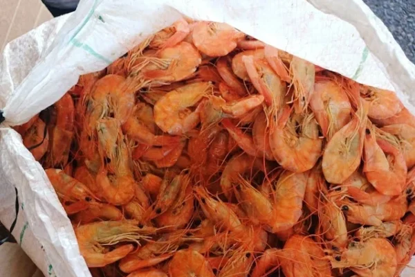 Carga com pescado pesando mais de uma tonelada é apreendida saindo de Parnaíba para Brasília pela PRF.