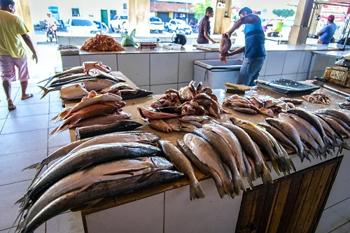 Ministério Público inicia inquérito de investigação nos mercados públicos de Parnaíba.