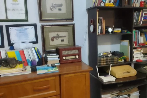 Piauí cria o Plano de Desenvolvimento Cultural com fortalecimento de bibliotecas comunitárias.