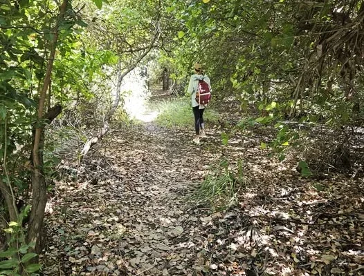 III Caminhada dos Cajus será em 31 de agosto.