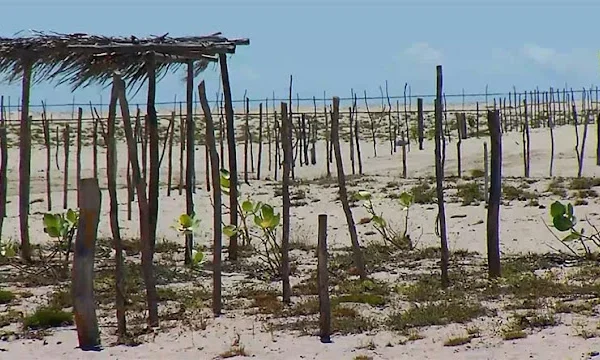 Operação retira cercas irregulares em praias de Luís Correia; responsáveis foram identificados.