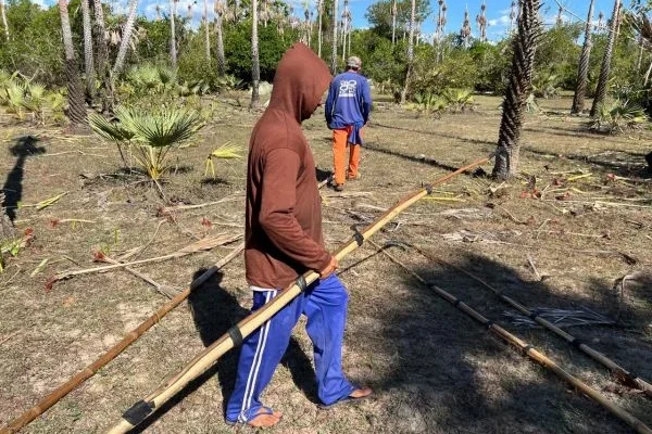 Trabalhadores piauienses são resgatados em condição de escravidão em Magalhães de Almeida e Barreirinhas.