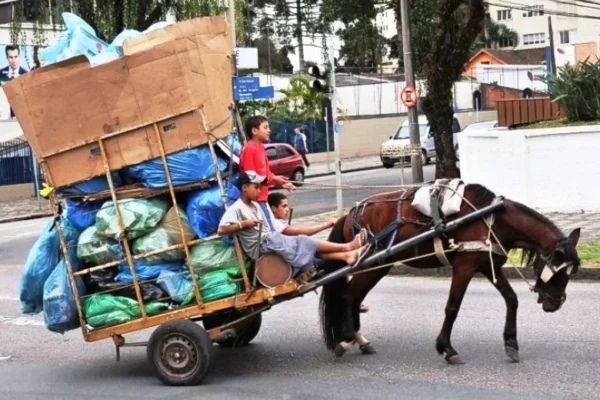 Comissão aprova projeto que criminaliza uso de veículo com tração animal.