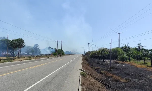 Incêndio atinge mata de cajueiros na região do Labino na Ilha de Santa Isabel nessa madrugada.