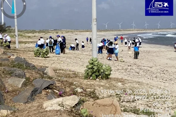 Projeto Tartarugas do Delta promove limpeza de praia na Pedra do Sal