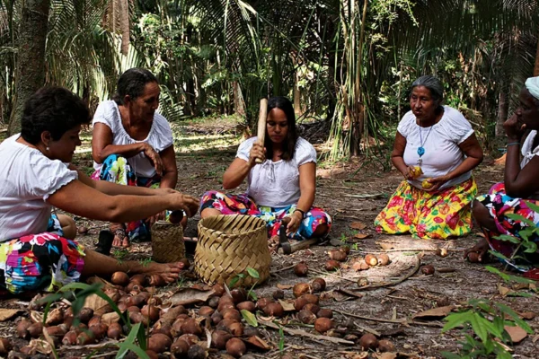 Quebradeiras de Coco Babaçu: legislação reconhece atividade como tradicional no Piauí.