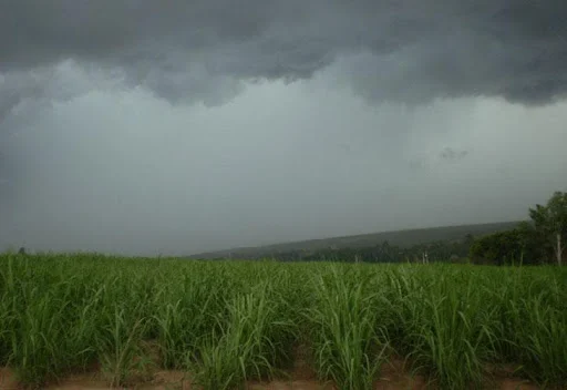 Precipitações de chuvas no Piauí só a partir de janeiro. Nem adianta xingar.