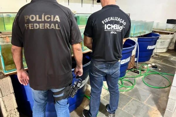 Polícia Federal intensifica combate ao tráfico de animais marinhos no litoral do Piauí