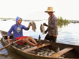 Araioses instala o Sindicato dos Pescadores dia 8 de novembro.