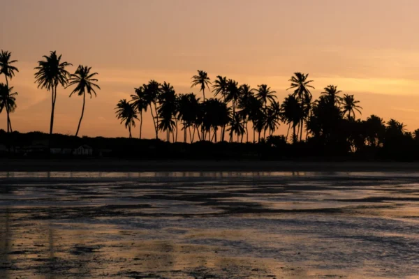 Cajueiro da Praia está na lista de destinos turísticos tendência no Brasil em 2026.