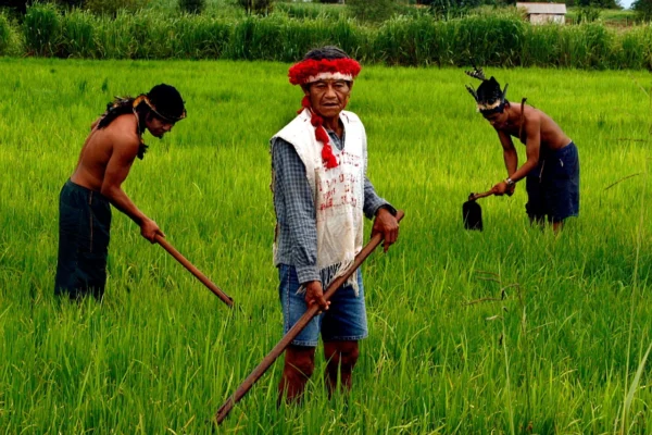 UFDPAR trata com a CONAB execução descentralizada na agricultura familiar.