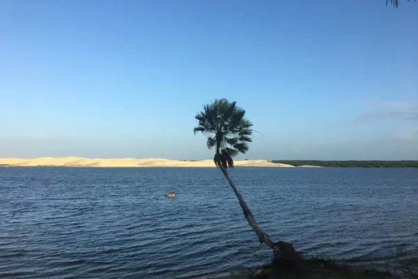 Secretaria do Meio Ambiente descarta diminuição do volume de água na Lagoa do Portinho.  