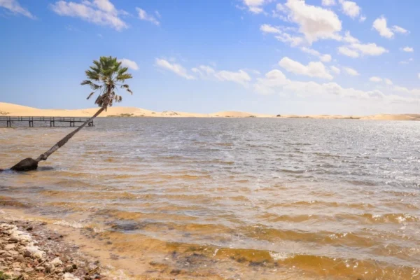 Operação flagra captação ilegal de água e redes de pesca na Lagoa do Portinho.