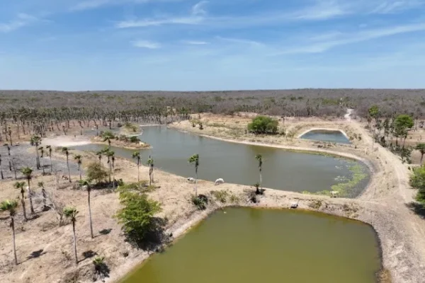 Fiscalização identifica criatórios de peixes na Lagoa do Portinho, em Parnaíba. Mas não deu os nomes.