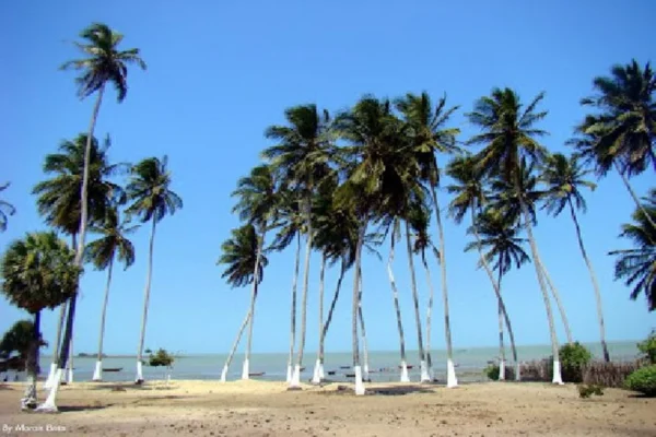 Cajueiro da Praia lança seu Plano Municipal de Turismo dia 11 pelo SEBRAE. 