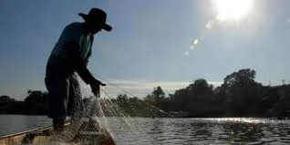 Pente-fino no cadastro de pesca cancela mais de 60 mil licenças no Maranhão