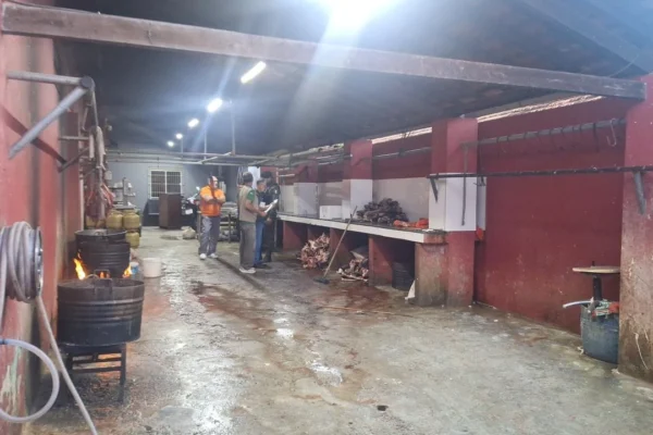 Prefeitura autua proprietário de abatedouro clandestino na Guarita em Parnaíba.