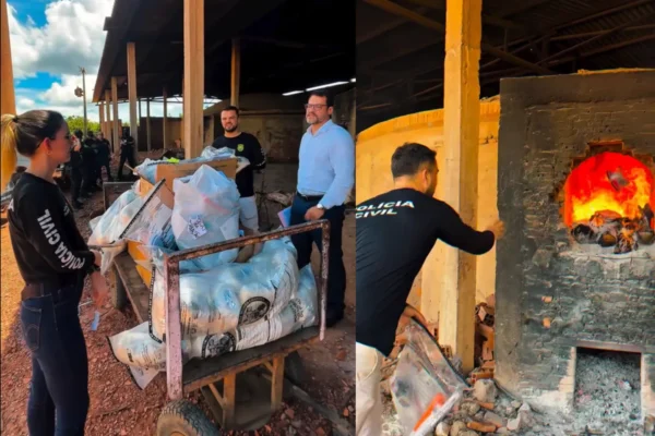 Polícia incinera cerca de 100 kg de drogas apreendidas no litoral do Piauí.