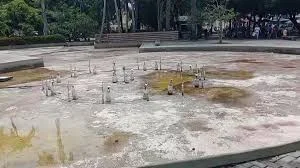 A fama curta dos gansos. * Pádua Marques.