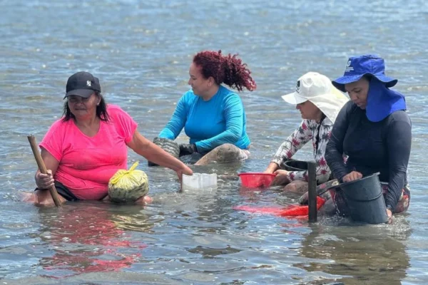 Marisqueiras da região norte e do Nordeste recebem intercâmbio sobre economia solidária e preservação ambiental .