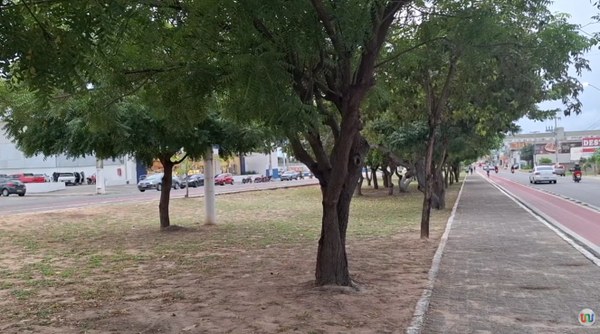 Parnaíba investe em arborização para melhorar qualidade de vida e preservar o meio ambiente.